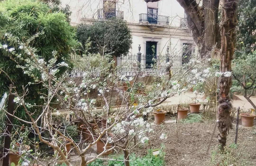 Precioso estudio en el corazón de Granada-1